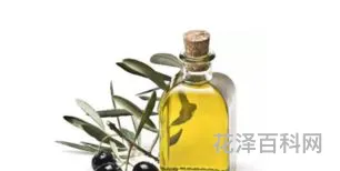 怎样用橄榄油护发 如何用橄榄油保养头发