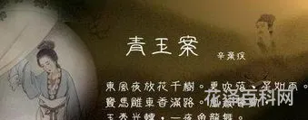 蓦然回首下一句 蓦然回首人生感悟短句
