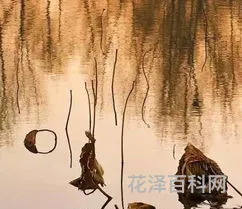 自动挡汽车档位