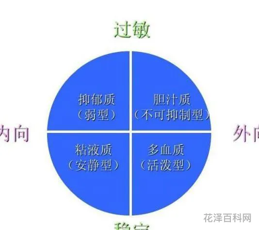 人的气质类型
