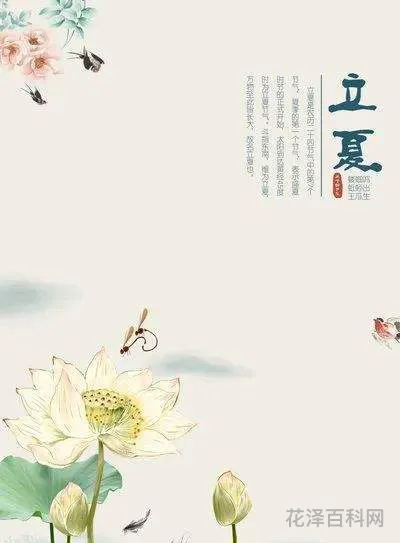 立夏的经典古诗，二十四节气古诗词