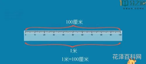 1分米等于多少厘米 小学单位换算公式大全