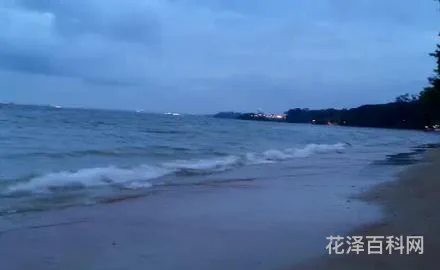 最小的海是什么海