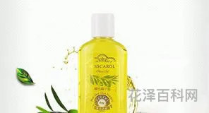 怎么用橄榄油护发，如何用橄榄油保养头发
