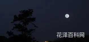 春风沉醉的夜晚 郁达夫春风沉醉的晚上经典句子