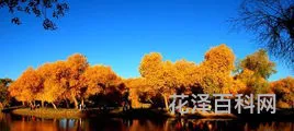 十月份去哪里旅游好 网上怎么报旅游团旅游