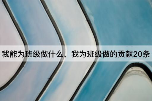 我能为班级做什么，我为班级做的贡献20条