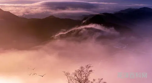 天气晚来秋的上一句