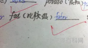 fat的比较级