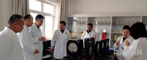 形容夜晚的天气晴和美好