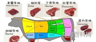 肉眼牛排是牛的哪个部位 牛排的部位图解