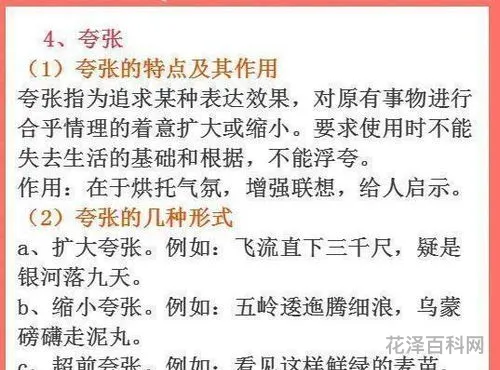 我的语文老师的简单介绍