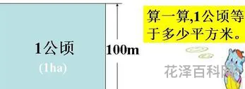 公顷和平方米的换算