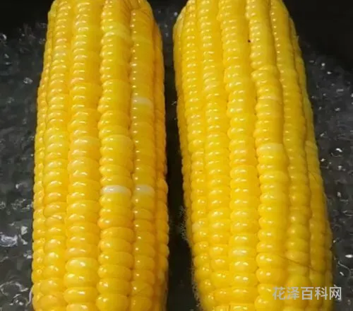 玉米烙的做法 自制玉米烙最简单做法