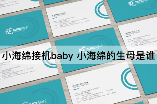 小海绵接机baby 小海绵的生母是谁