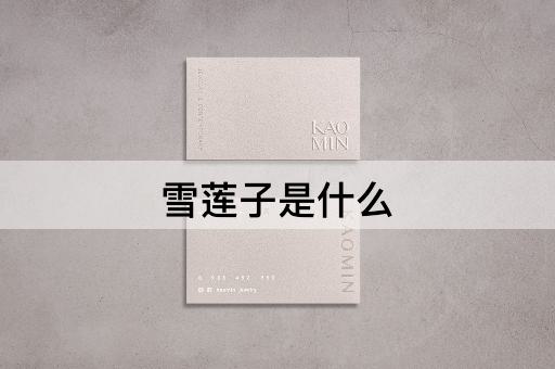 雪莲子是什么