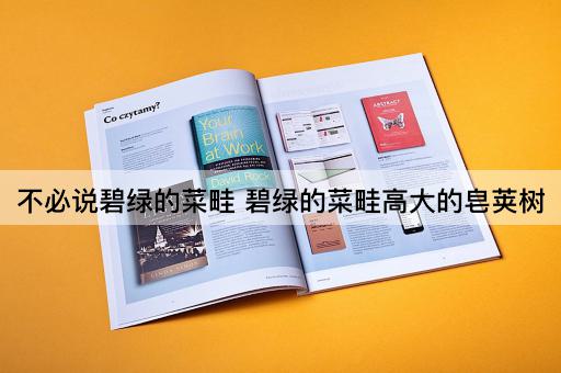 不必说碧绿的菜畦 碧绿的菜畦高大的皂荚树