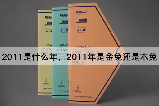 2011是什么年，2011年是金兔还是木兔