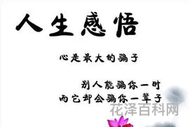 经典人生感悟
