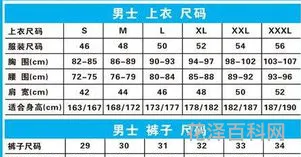 l是什么尺码，男装尺码大全对照表