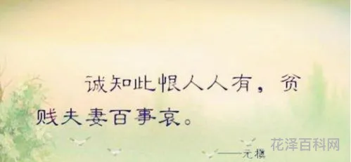 贫贱夫妻百事哀是什么意思，没有钱了再好的夫妻都是扯淡