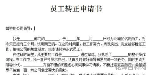 职员转正申请，新员工转正总结