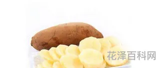 雪莲果的营养价值，吃雪莲果能降高血压吗