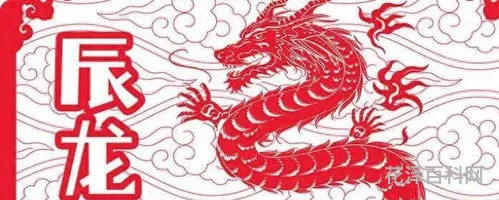 本命年穿红色 2024年属龙本命年运势