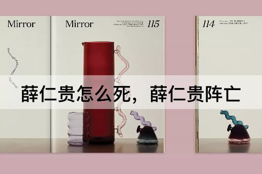 薛仁贵怎么死，薛仁贵阵亡