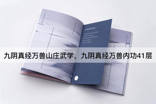 九阴真经万兽山庄武学，九阴真经万兽内功41层