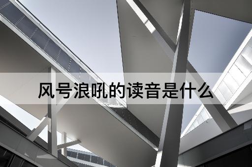 风号浪吼的读音是什么