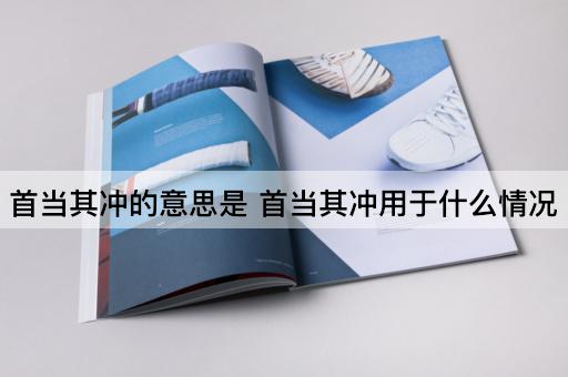 首当其冲的意思是 首当其冲用于什么情况