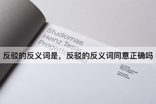 反驳的反义词是，反驳的反义词同意正确吗