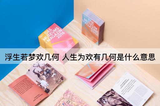 浮生若梦欢几何 人生为欢有几何是什么意思