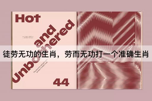 徒劳无功的生肖，劳而无功打一个准确生肖