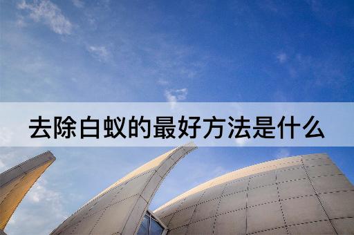 去除白蚁的最好方法是什么
