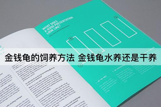 金钱龟的饲养方法 金钱龟水养还是干养