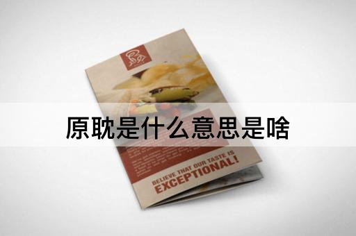 原耽是什么意思是啥