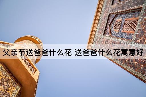 父亲节送爸爸什么花 送爸爸什么花寓意好
