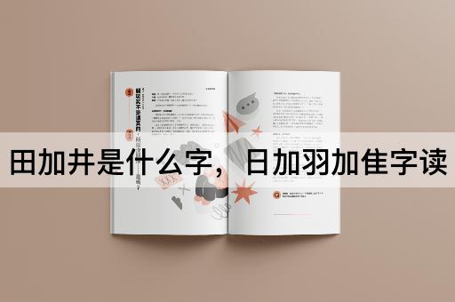 田加井是什么字，日加羽加隹字读