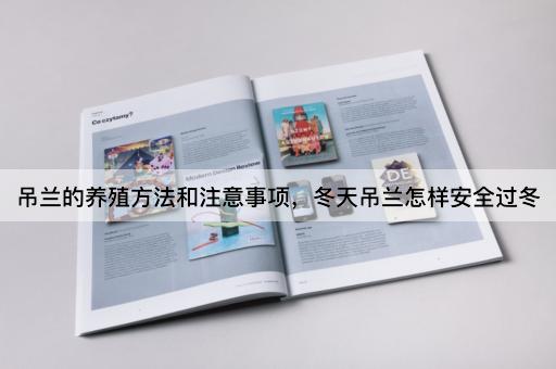 吊兰的养殖方法和注意事项，冬天吊兰怎样安全过冬