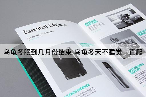 乌龟冬眠到几月份结束 乌龟冬天不睡觉一直爬