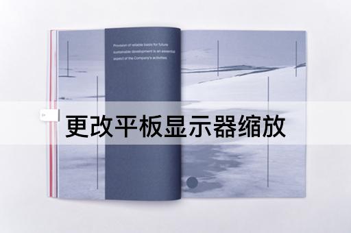 更改平板显示器缩放