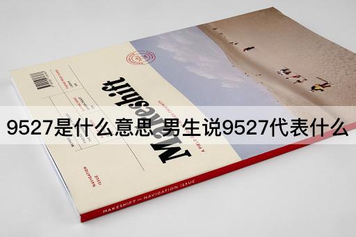 9527是什么意思 男生说9527代表什么