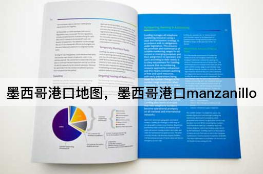 墨西哥港口地图，墨西哥港口manzanillo