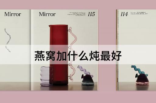 燕窝加什么炖最好