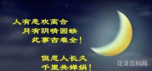 但愿人长久是指爱情吗 千里共婵娟是指爱情吗