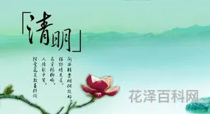清明节为什么要踏青 清明节踏青的意义