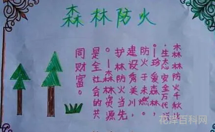 森林防火宣传内容 森林防火的重要性