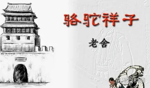 骆驼祥子的主要内容 造成骆驼祥子悲剧的原因